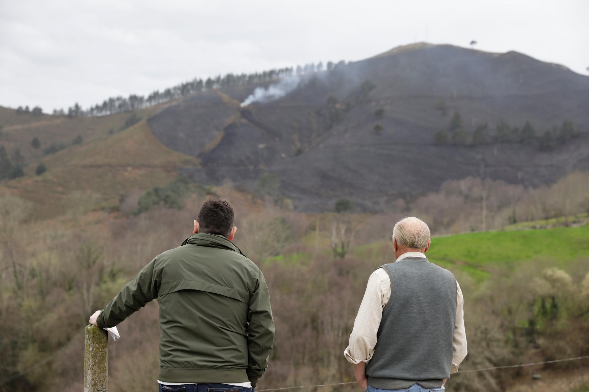 En imágenes: El fuego asedia Asturias, con 51 incendios activos