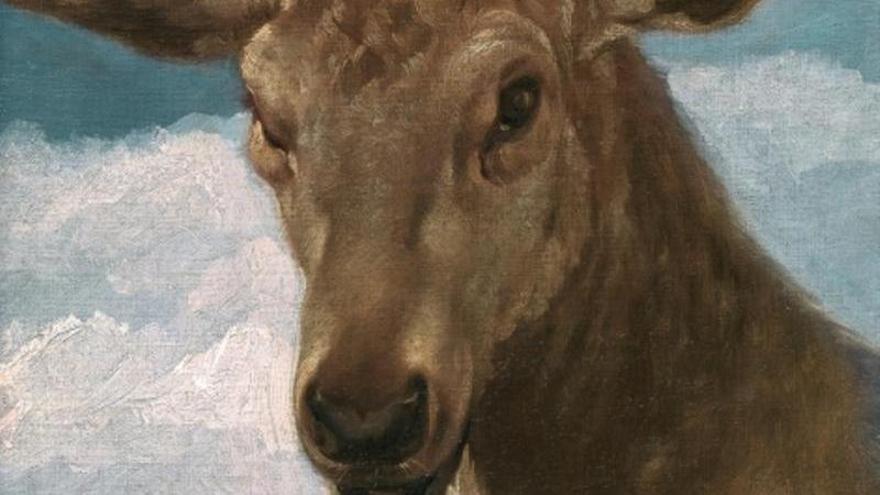 El cuadro ‘Cabeza de Venado’, de Velázquez, viajará a Santa Cruz desde el Museo del Prado