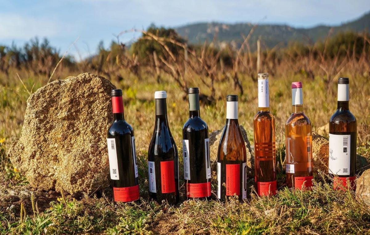 Les ampolles del celler ja tenen un nou etiquetatge, després de sortir de la D0 Empordà