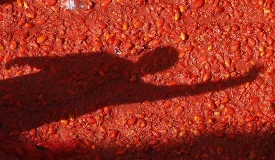 Impactants imatges de la Tomatina de Bunyol