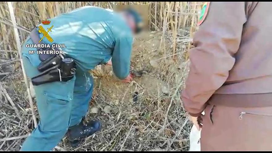 Un agente inspecciona una de las costillas colocadas.