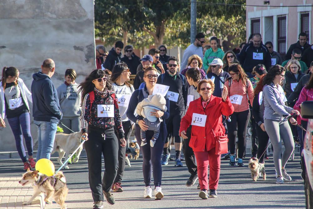 Almoradí celebra su primera Caminata Solidaria con animales