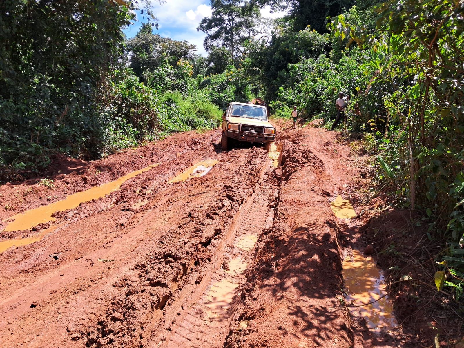 La Fundación Bangassou cumple 25 años