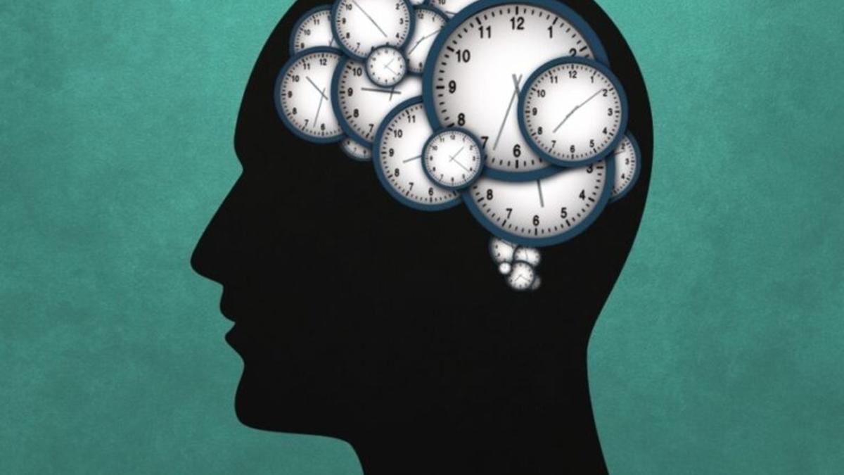 El cerebro distorsiona nuestra percepción del tiempo