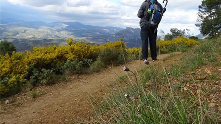 Los bomberos localizan a un joven desorientado en el monte de Llucena