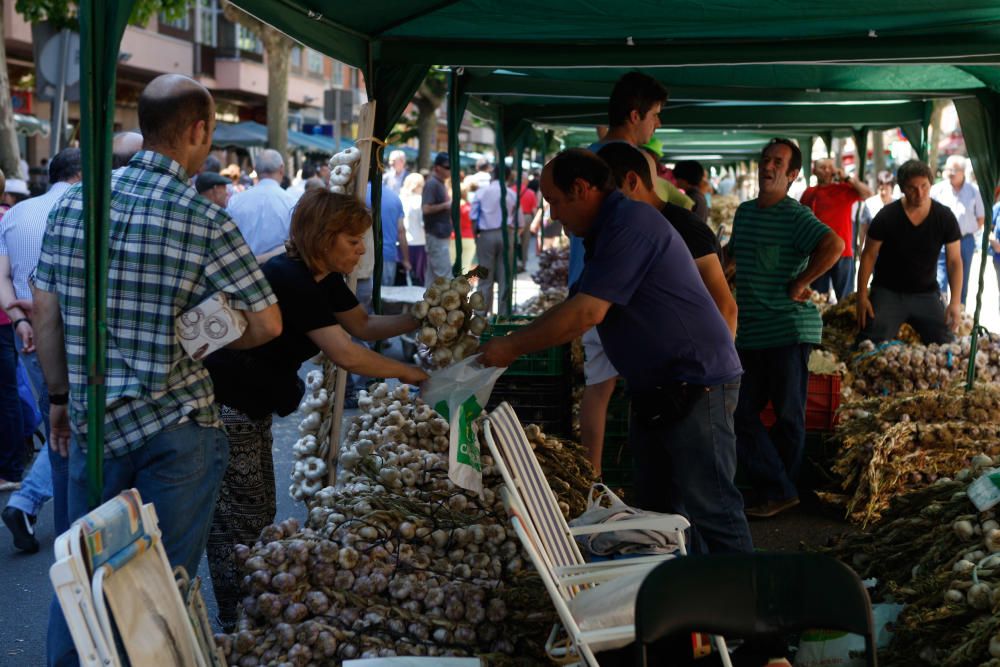 San Pedro 2016: Feria del Ajo