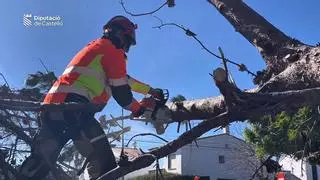 Directo | La caída de árboles, uno de los principales problemas que deja la borrasca Oriana en Castellón