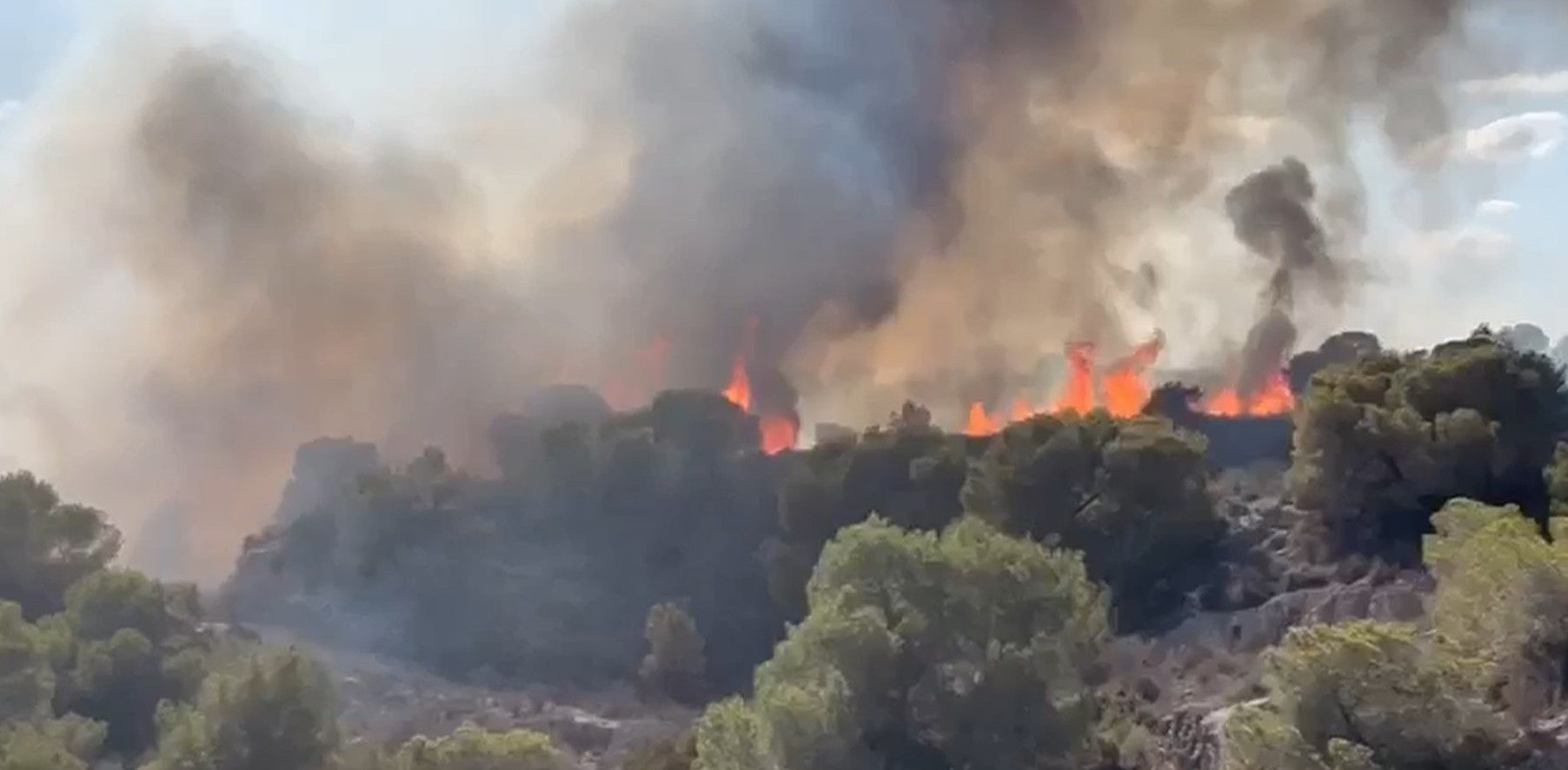 Incendio entre Las Ramblas y Campoamor en Orihuela Costa