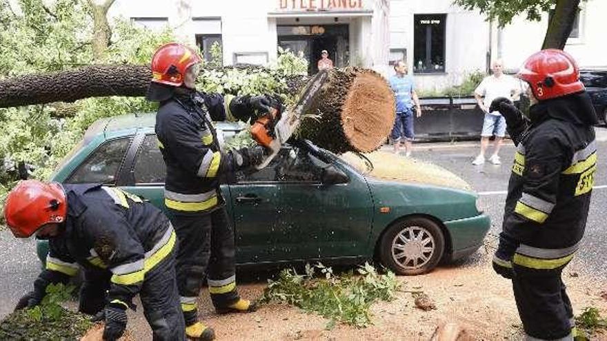 Bomberos en Varsovia junto a un coche dañado por un árbol.