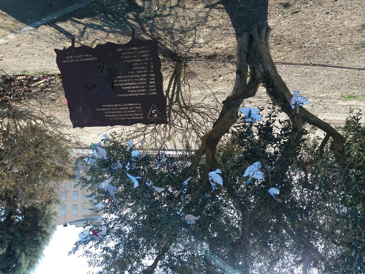 Los mensajes, frases y dibujos del alumnado colgados en el olivo por el día de la paz.