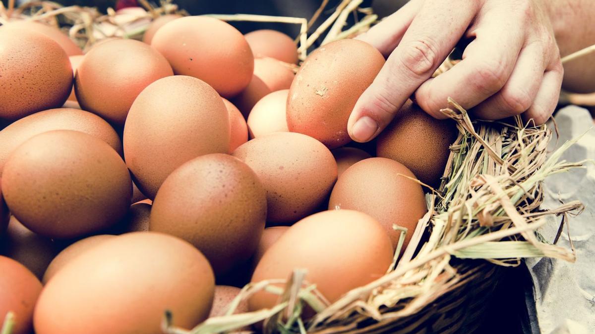 Si se producen huevos para el autoconsumo es importante no lavarlos con agua, ya que se elimina su capa de protección. | FOTOS: SHUTTERSTOCK