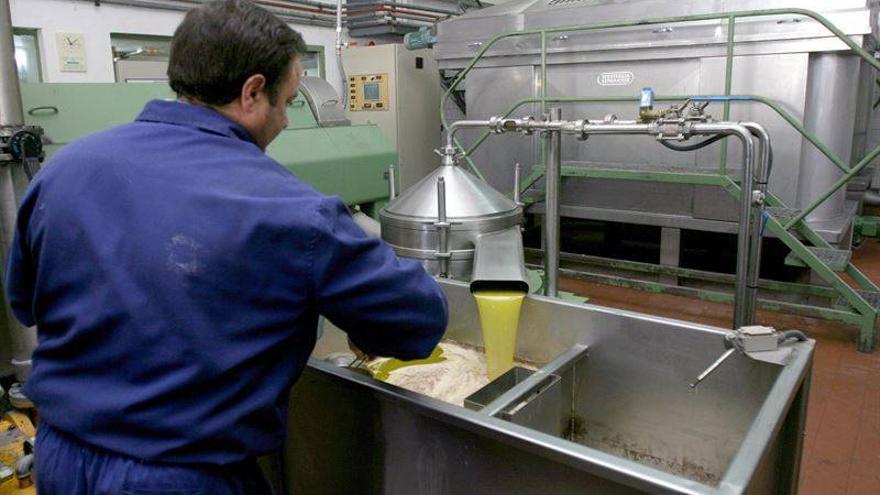 El precio del aceite de oliva supera los 3,89 euros por kilo y las organizaciones agrarias alertan del peligro