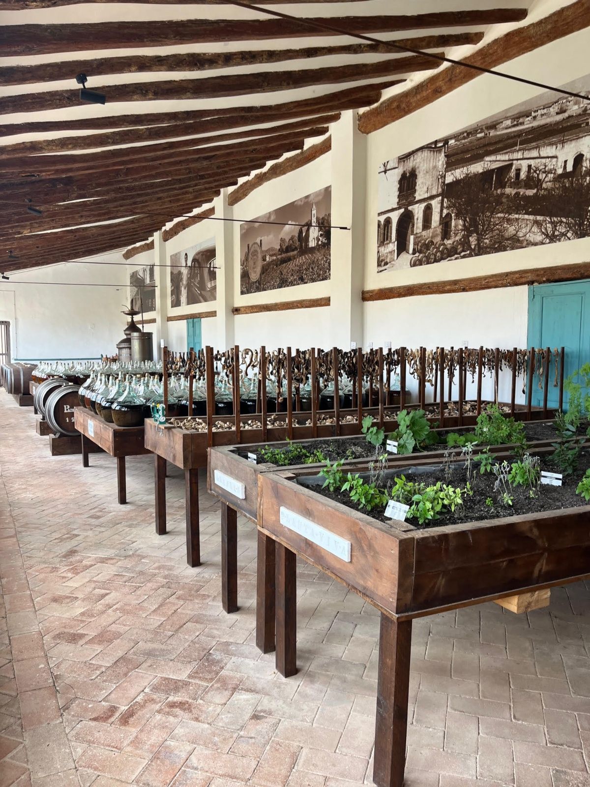 Sala de botánicos, infusión y maceración en Casa Padró.