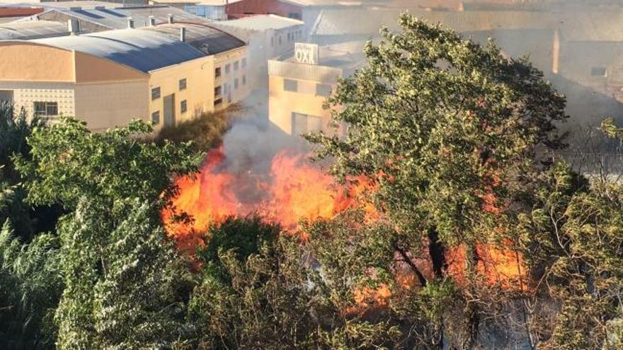 Incendio en el barranco del Salt de l'Aigua de Manises