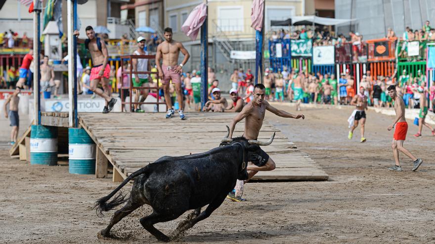La vaca &#039;Milana&#039;, de Eulogio Mateo, rompe esquemas en el concurso de ganaderías de la Vall