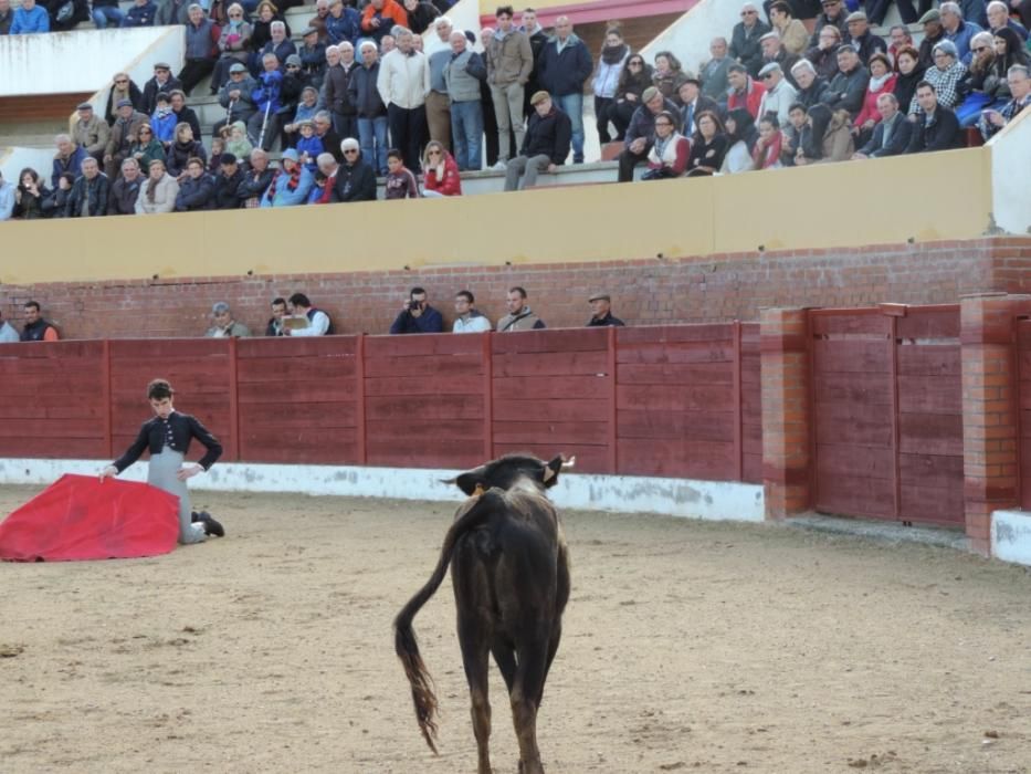 Bolsín Taurino de Fuentesaúco