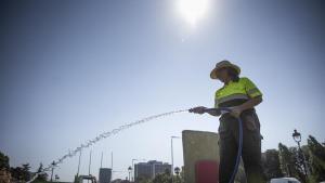 Barcelona 21/05/2022 Reportaje sobre altas temperaturas en centros de trabajo. En las foto Marisol Rizo, que trabaja de jardinera de Parcs i Jardins, regando el césped en Palau Reial FOTO de FERRAN NADEU