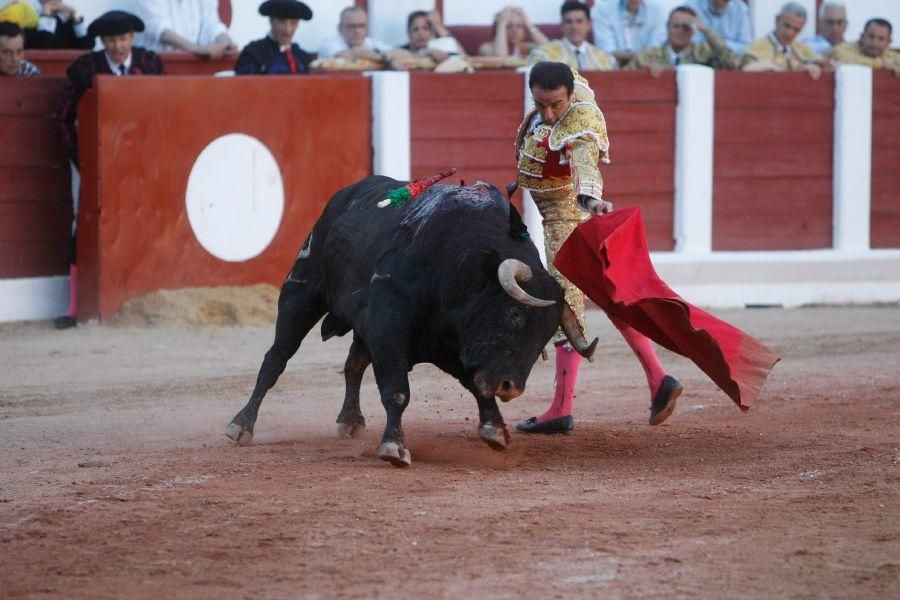 Toros en Zamora