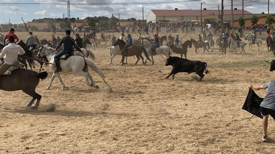Guarrate, buenos espantes y cortadores