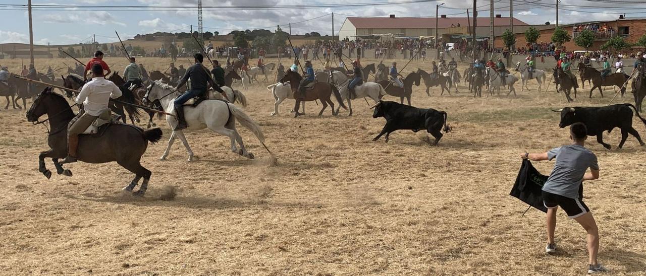 Encierro por la prader en Guarrate. | |  PAULA LOSA