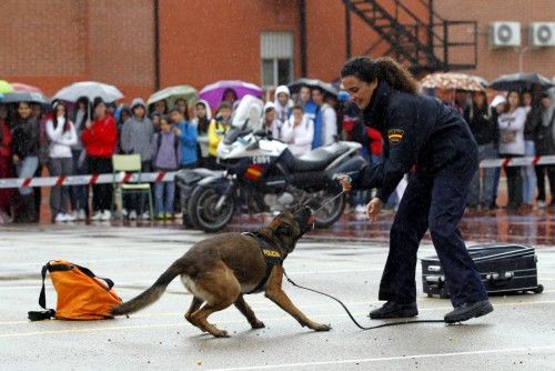 Exhibición de la unidad de Guías Caninos del Cuerpo Nacional de Policía en Murcia