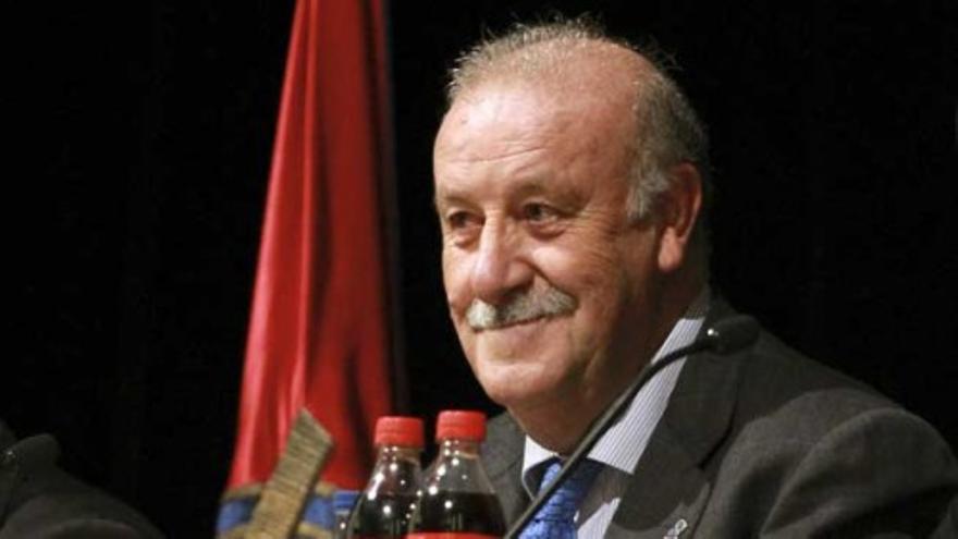 Del Bosque: &quot;Diego Costa es uno más de los jugadores que pueden venir a la selección&quot;