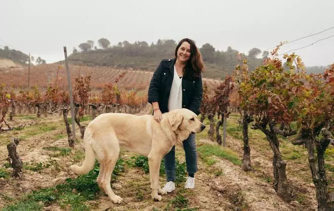 La única bodega de Castilla y León con denominación de origen Rioja tiene un milenio de historia: "Lo vamos a petar con los blancos"