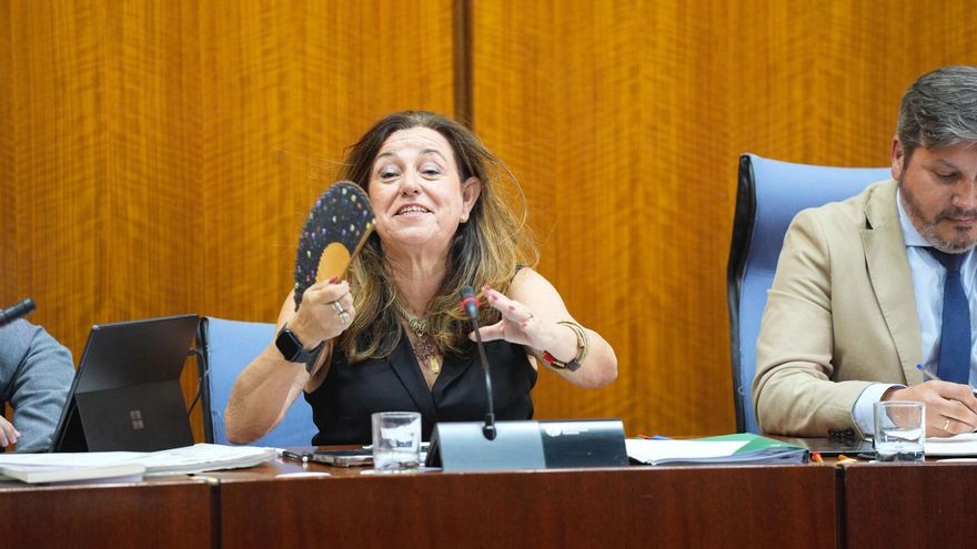 La Junta defiende su plan de climatización en plena alerta por calor: &quot;No podemos llegar a todos los centros aún&quot;