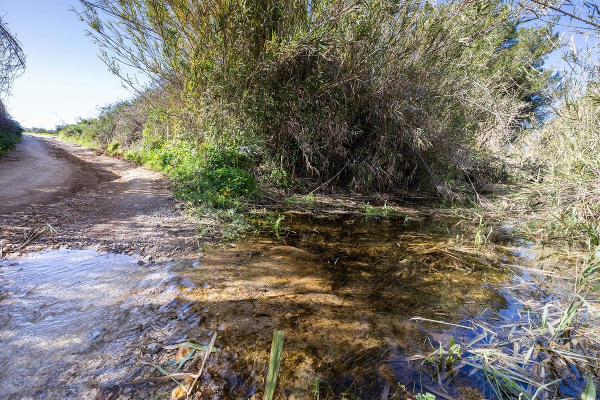 Imágenes de sa Fontassa y el río de Santa Eulària Imágenes de sa Fontassa y el río de Santa Eulària