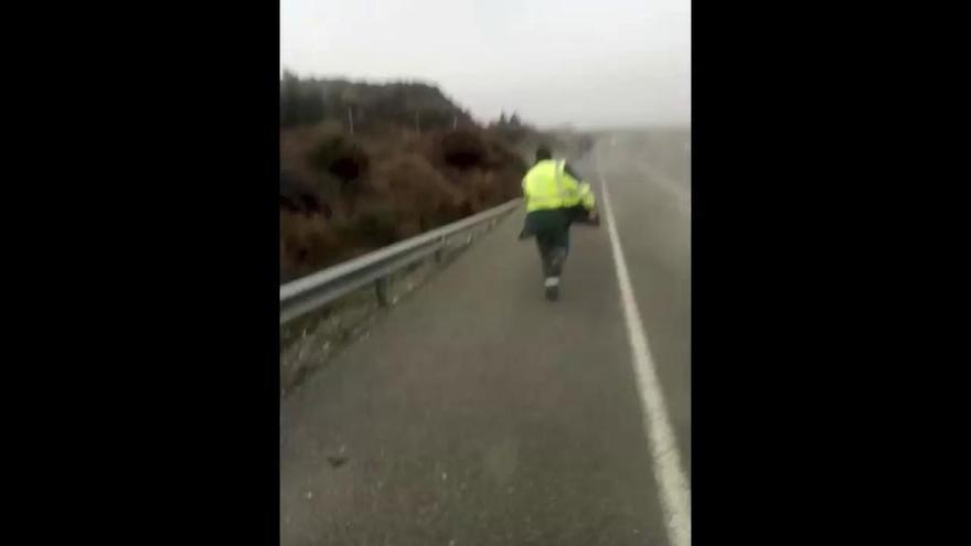 Un kamikaze colisiona contra un vehículo de la Guardia Civil