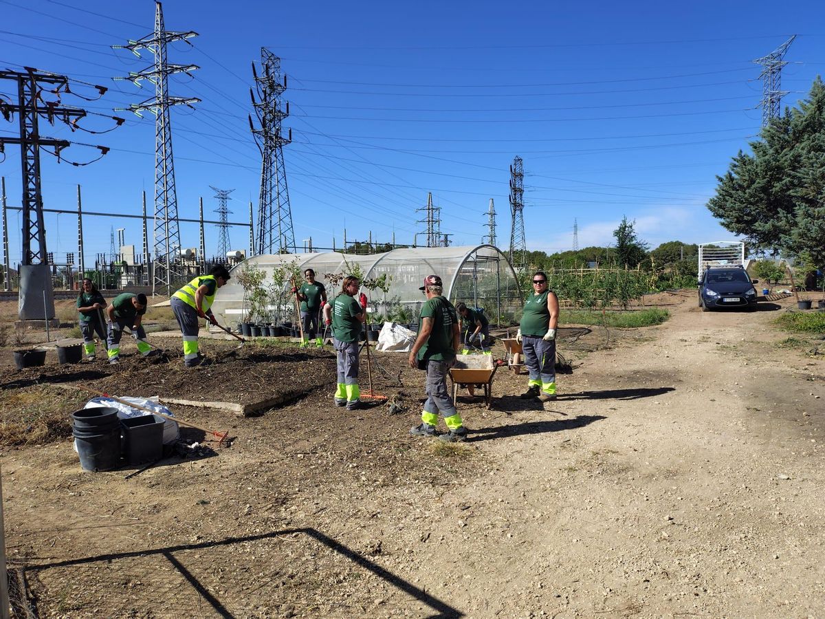 Integrantes del taller durante los trabajos en Villena