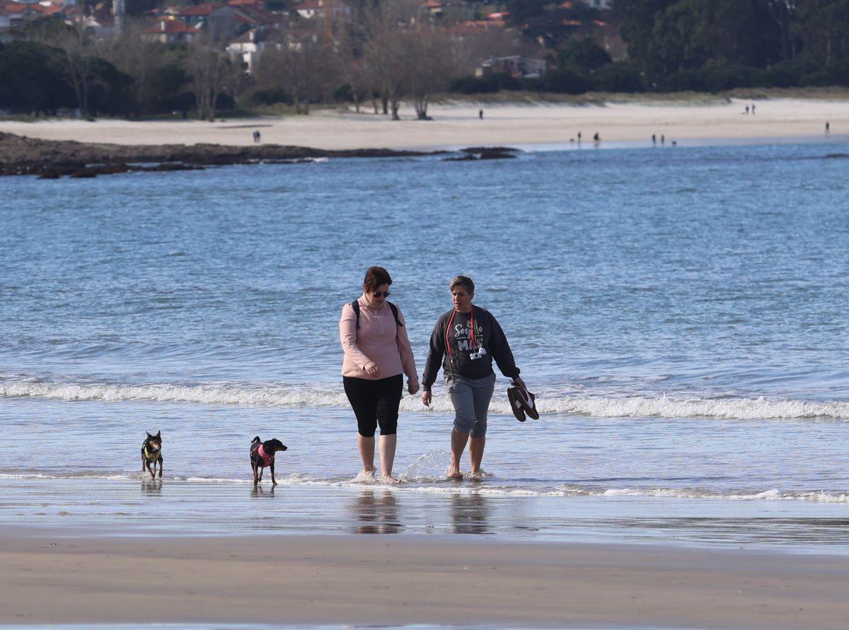 Gente paseando a sus perros en Samil en el mes de febrero.
