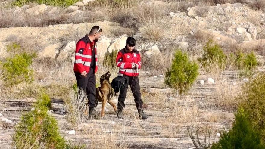 Aparece el cadáver del hombre desaparecido en 2020 en El Campello