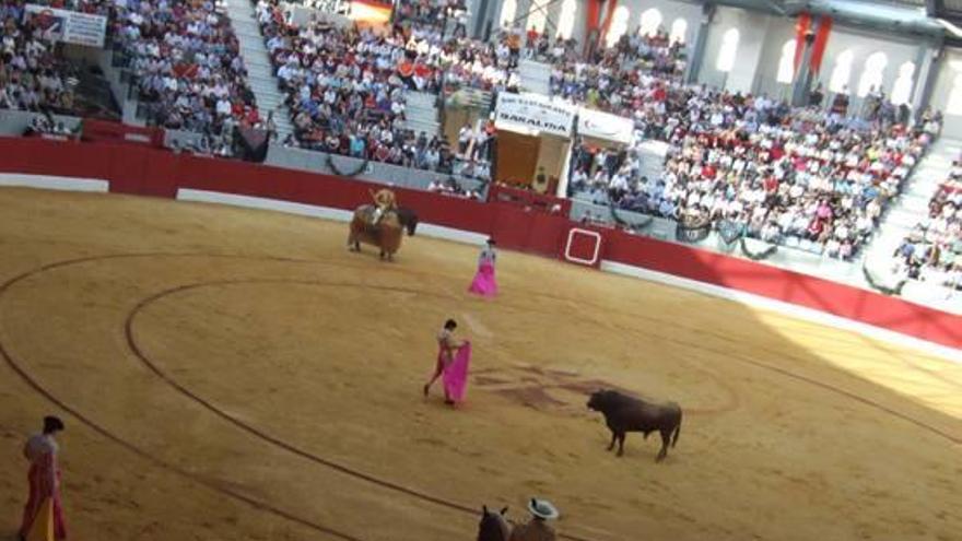 La peña taurina de Villena insiste en celebrar una corrida en la plaza de toros
