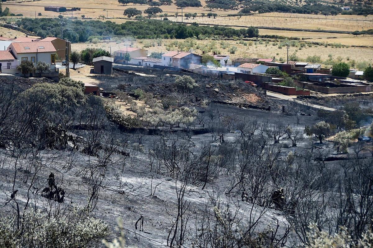 Fotogalería | Así ha quedado la zona de Casas de Millán tras el paso del incendio