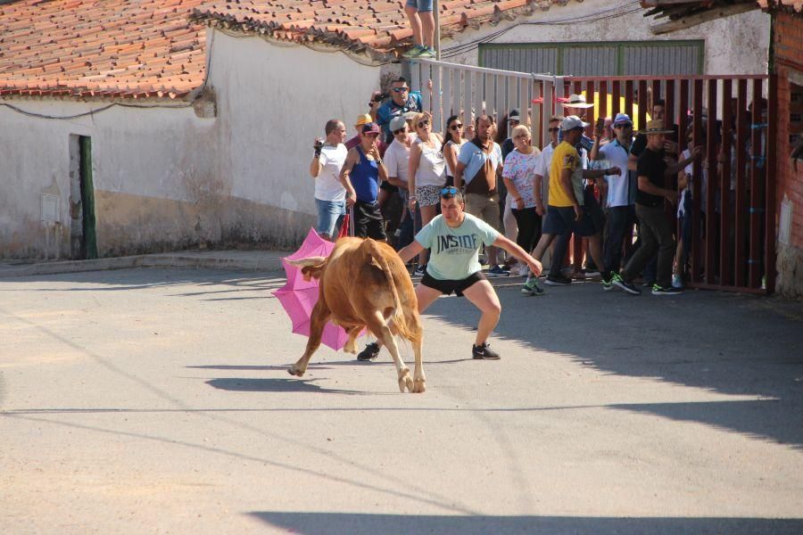 Encierro El Maderal