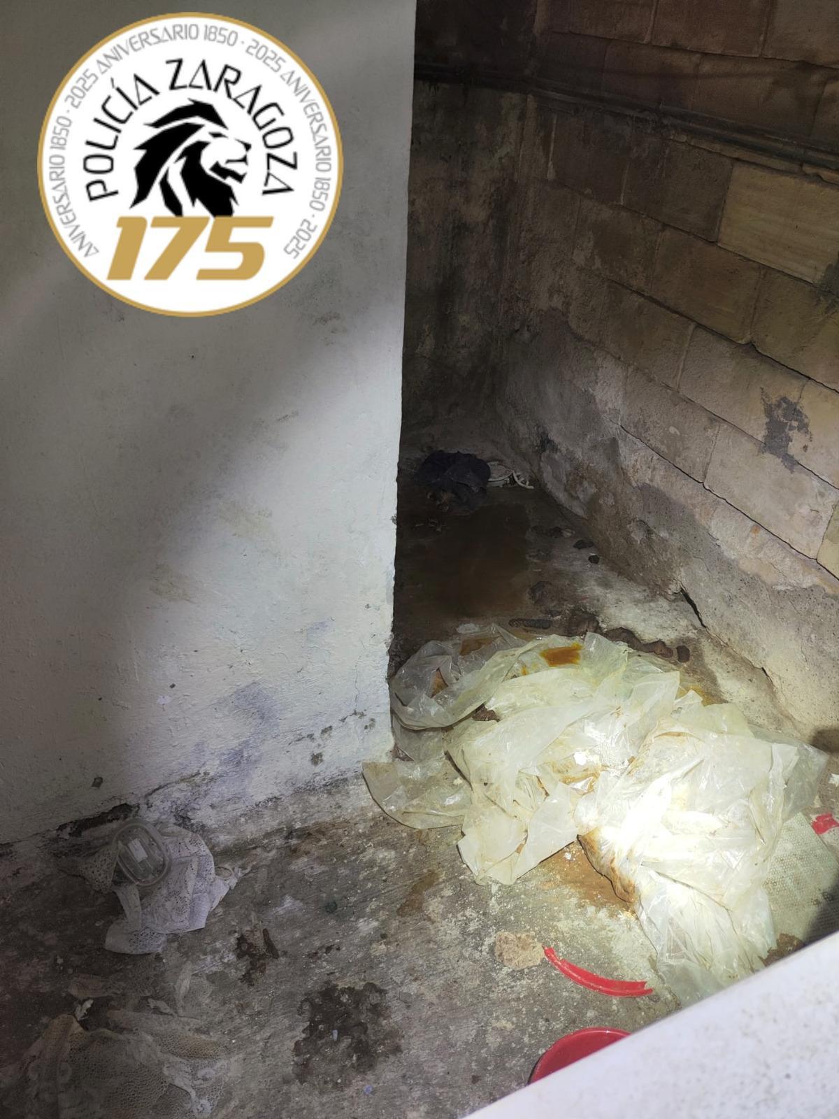 Foto de la situación en la que vivían los perros.