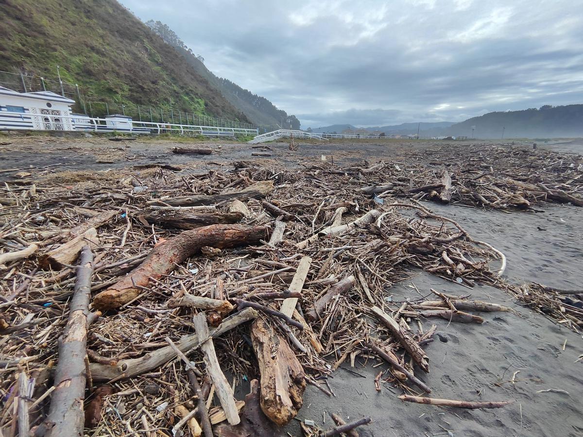 El estado del arenal de Los Quebrantos, en imágenes