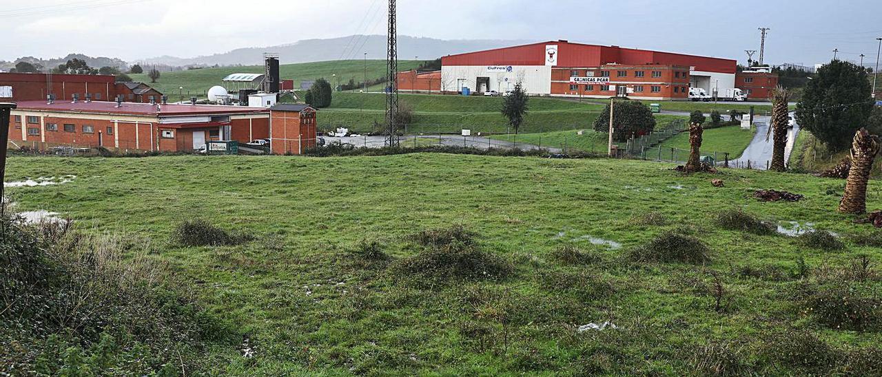 Terrenos próximos al matadero de Granda.