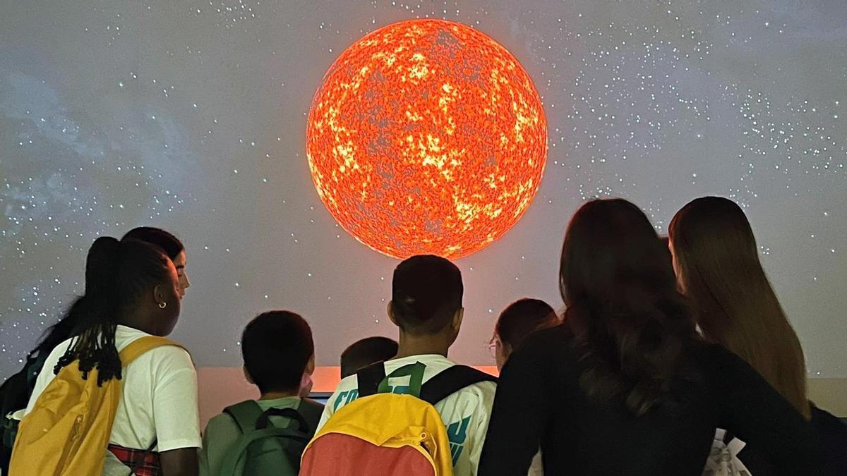 Visita al Museo de Ciencias Naturales, una salida organizada a través del programa ‘Sábados a mi aire’.