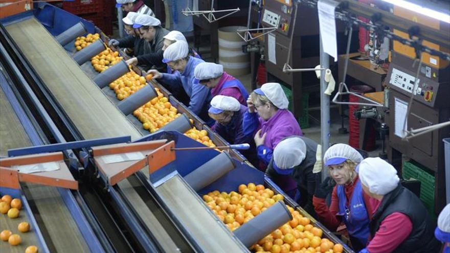 Ozoncas, el aliado perfecto para las centrales hortofrutícolas de la provincia