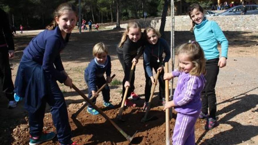 Onda celebra el Día del Árbol en el Salvador