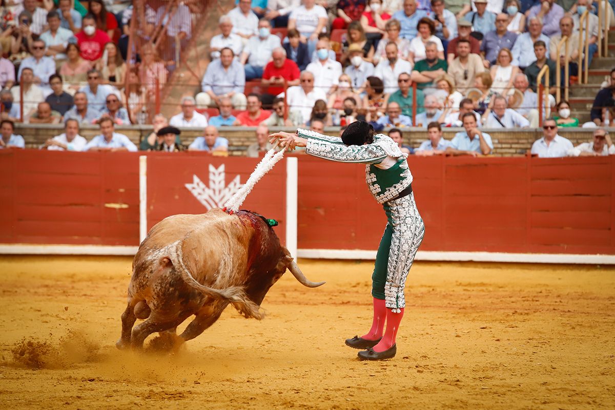 Lagartijo y Roca Rey triunfan en Los Califas