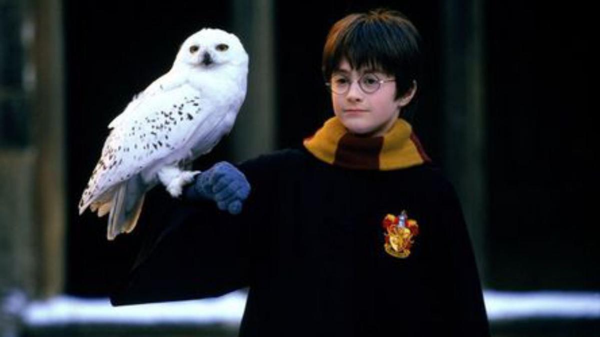 Harry Potter, també en matinal | IMATGE PROMOCIONAL