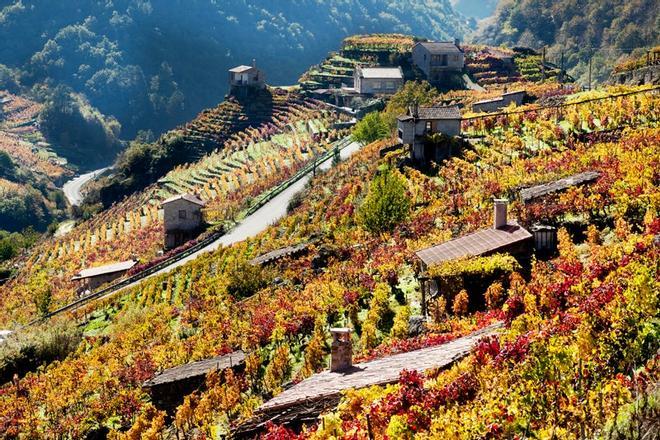 Ribeira sacra viñedos, Galicia, España