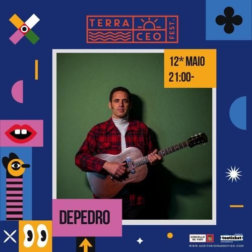 Cartel de conciertos del TerraCeo en Vigo 2023