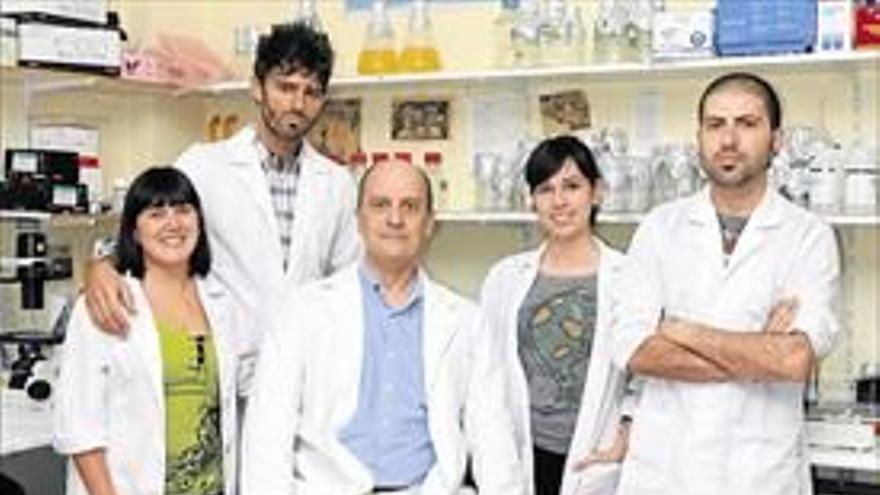 Investigadores españoles descubren un mecanismo que aumenta la capacidad invasiva del cáncer