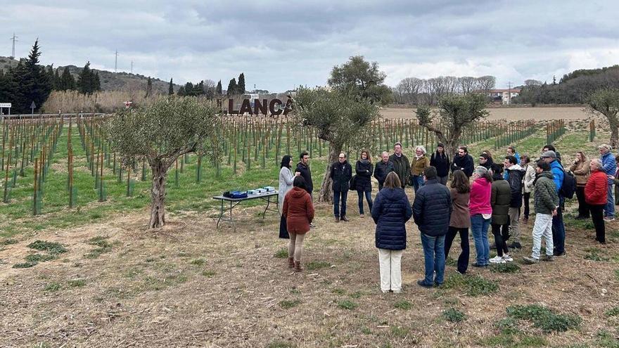 El Bages s’emmiralla en l’Empordà per posicionar-se com a destinació d’enoturisme