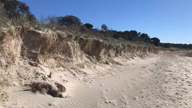 El sistema dunar de es Carbó en riesgo tras los temporales de este invierno