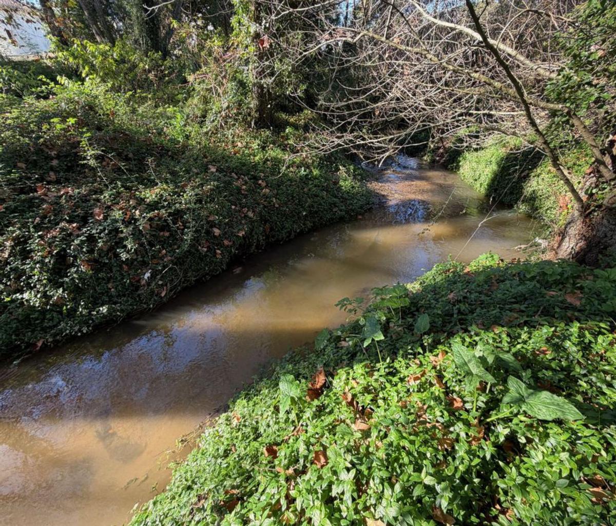Carmen y Agustín, ayer junto a su finca de Reboredo retranqueada del cauce del río Bouzós. |  G.N.
